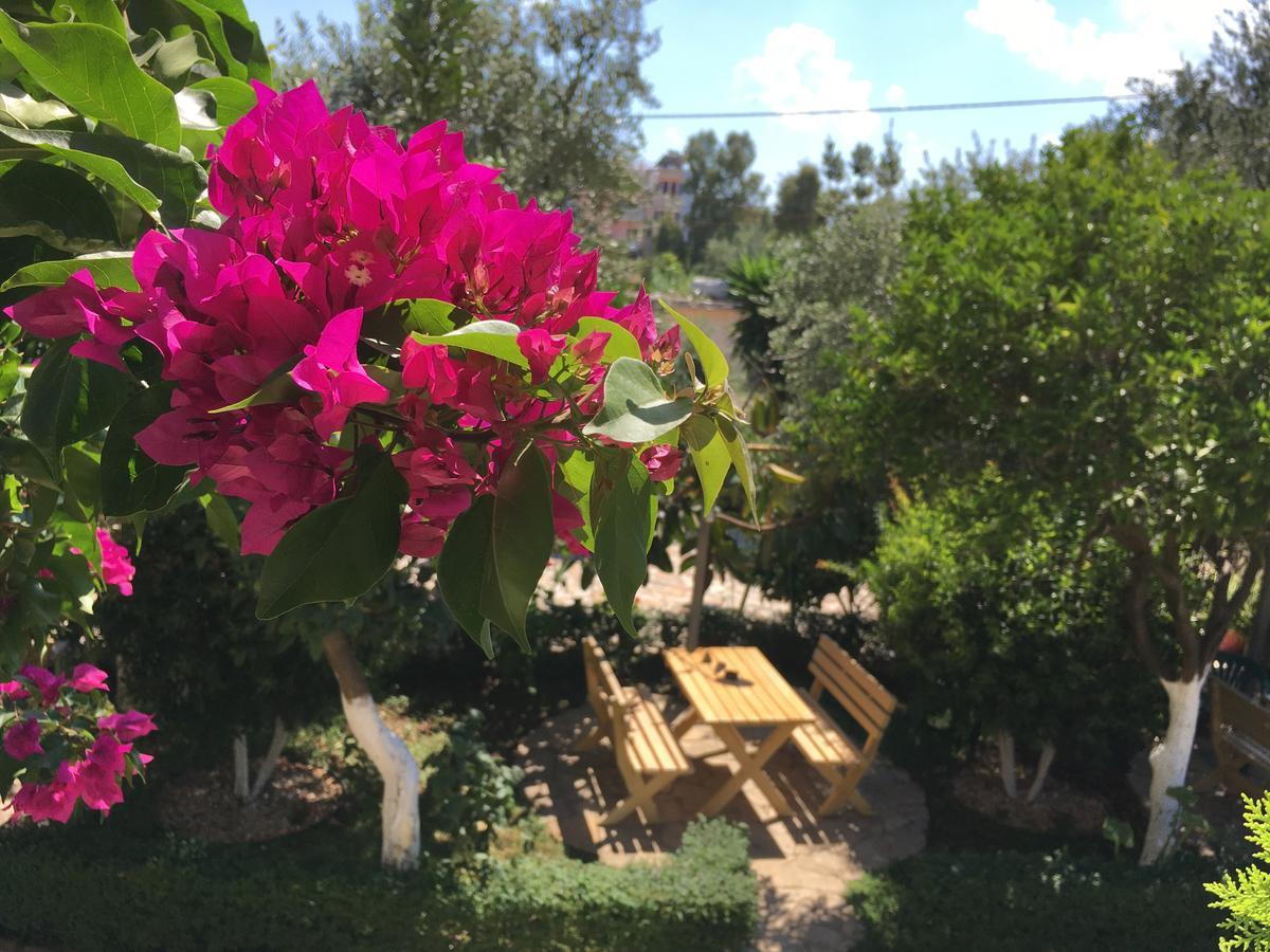 Apartment Flower Garden