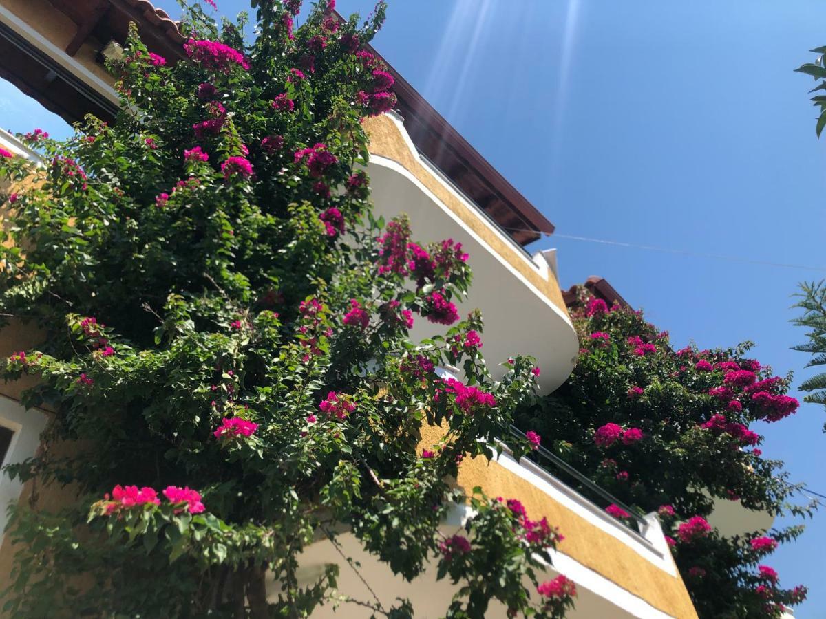 Flower Garden